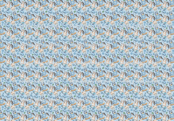 Monthly Group Preorder - Fabric Blue Heeler Skateboarding