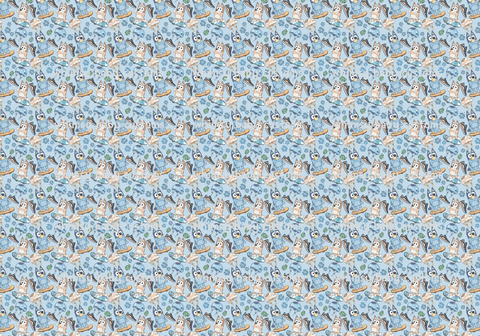 Monthly Group Preorder - Fabric Blue Heeler Skateboarding